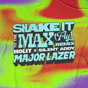 Shake It To The Max (FLY) - Major Lazer Remix