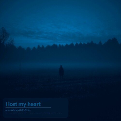 i lost my heart