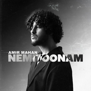 Nemitoonam
