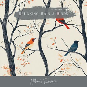 Relaxing Rain & Birds