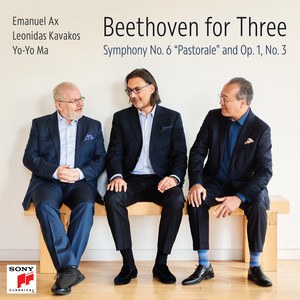 Piano Trio No. 3 in C Minor, Op. 1, No. 3: II. Andante cantabile con variazioni