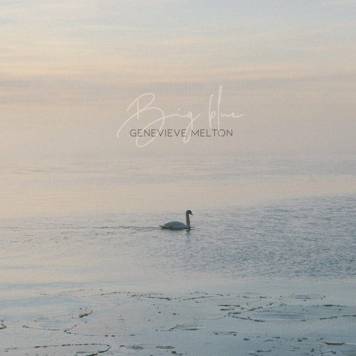 Return of the swans