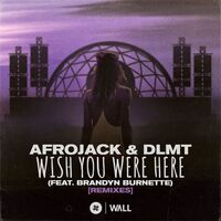 Wish You Were Here (feat. Brandyn Burnette) - Karim Meknassi Remix