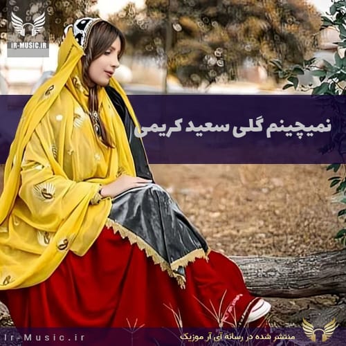 نمیچینم گلی
