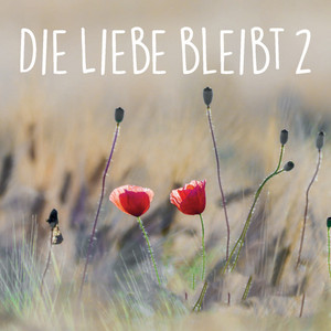 Gott Schenk Euch Liebe Jeden Tag