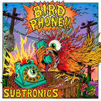 Bird Phone