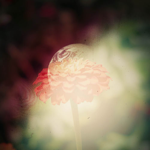 Glint