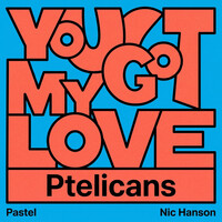 You Got My Love