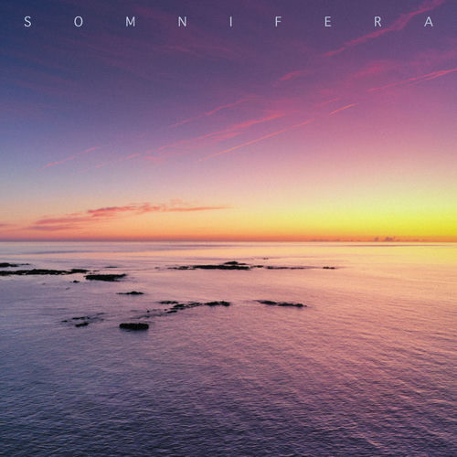 Calm Horizon