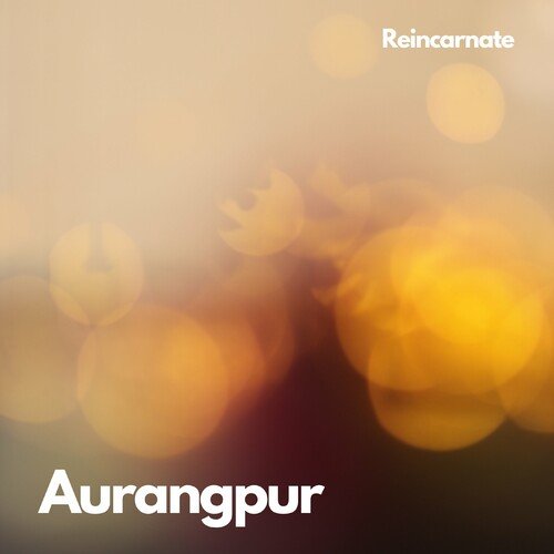 Reincarnate