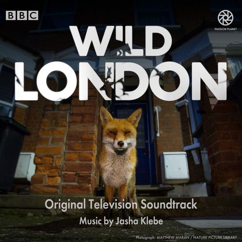 Wild City