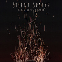 Silent Sparks