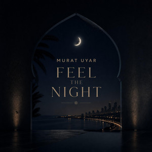 Feel the night