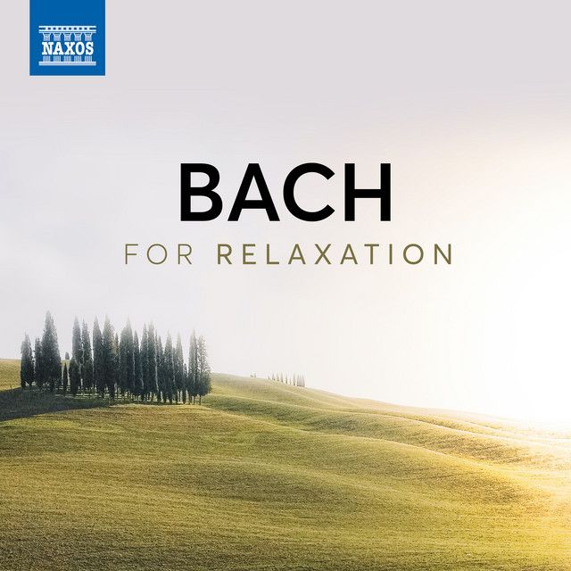 Violin Concerto in E Major, Bwv 1042: Ii. Adagio