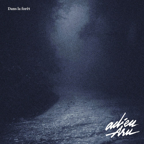 Dans la forêt