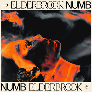 Numb - Elderbrook VIP