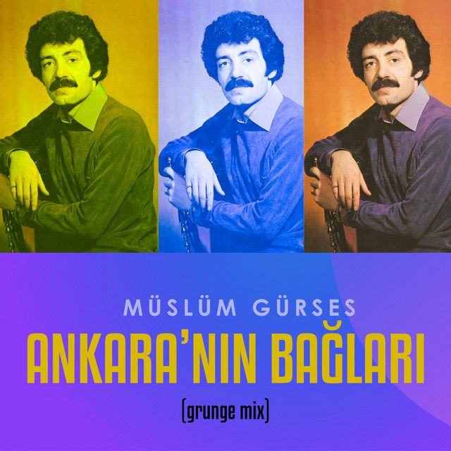 Ankara'nın Bağları - Grunge Mix
