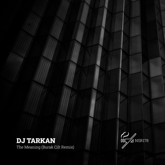The Meaning - Burak Cilt Remix