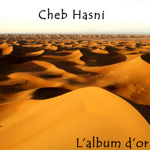 Galou Hasni met