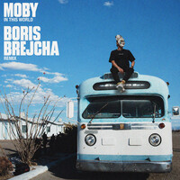 In This World - Boris Brejcha Remix