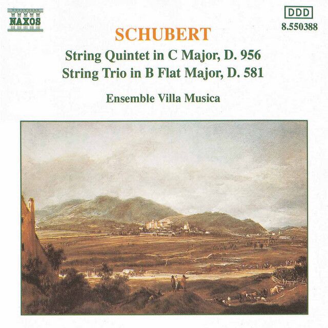 String Quintet in C Major, Op. 163, D. 956: II. Adagio