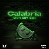 Calabria (feat. Fallen Roses, Lujavo & Lunis) - Shift K3Y Edit