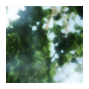 fleeting moments