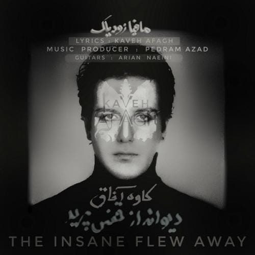 دیوانه از قفس پرید