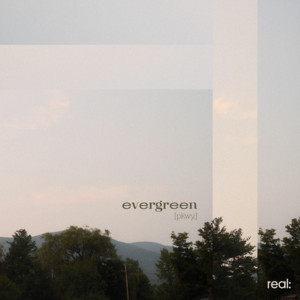 evergreen