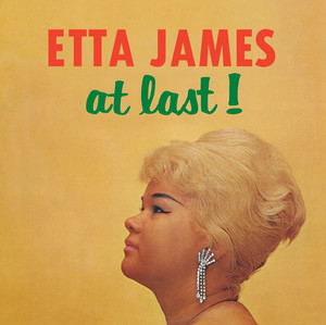 I Just Want To Make Love To You - Single Version