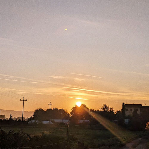 morning sun