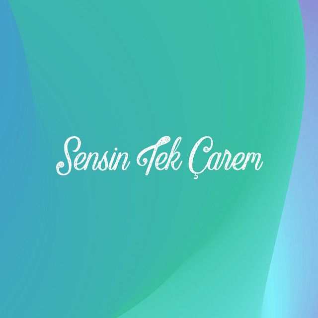 Sensin Tek Çarem