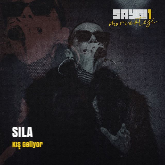 Kış Geliyor - Saygi1