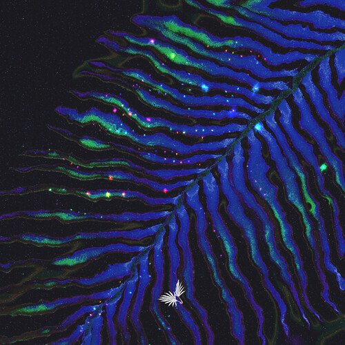 Caravan (Hrag Mikkel Remix)