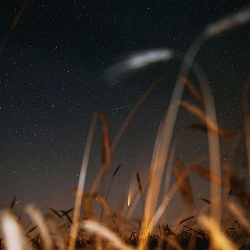 Nightfall