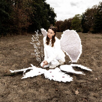 ANGEL SHOT