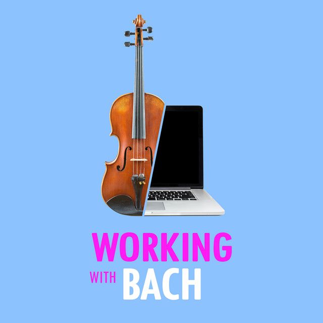 Brandenburg Concerto No. 2 in F Major, BWV 1047: 2. Andante