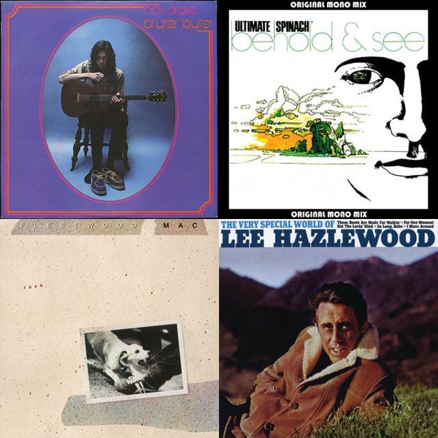 Radio Silver Blinds
