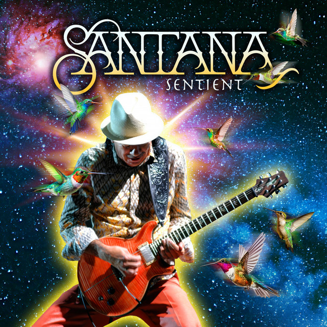 Let The Guitar Play - Radio Version