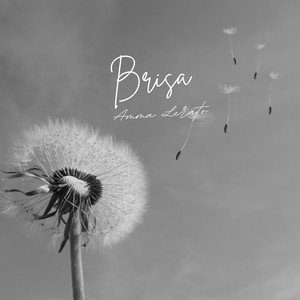 Brisa