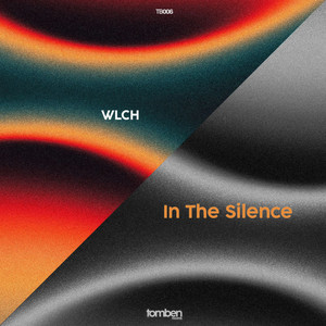 In The Silence