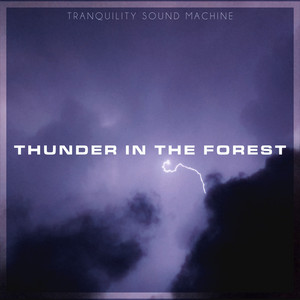 Thunder In The Forest - Seamless