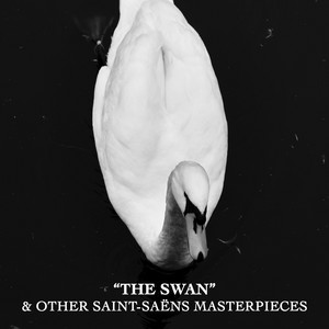 The Carnival of the Animals, R. 125: XIII. The Swan (Arr. for Cello and Piano)