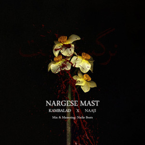 Nargese Mast