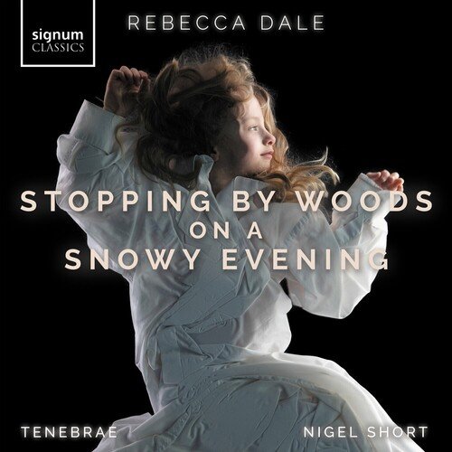 Stopping By Woods On A Snowy Evening