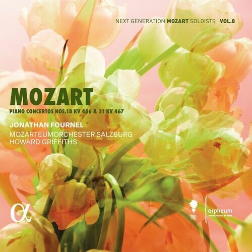 Piano Concerto No. 18 in B-Flat Major, KV 456: II. Andante un poco sostenuto (Cadenzas by W. A. Mozart)