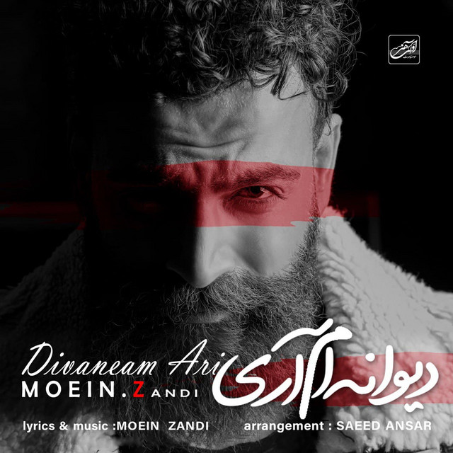 دیوانه‌ام آری