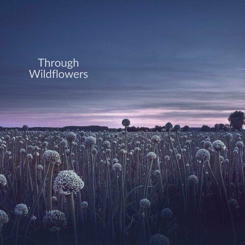 Through Wildflowers