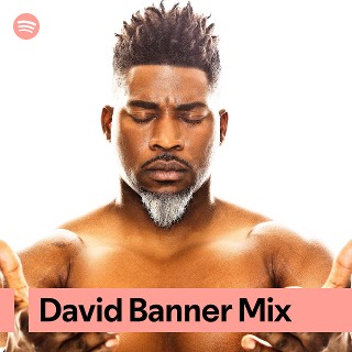 David Banner Mix