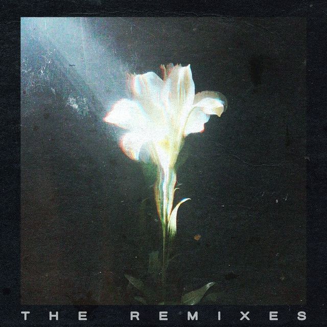 Light That Leads Me - Boris Way Remix